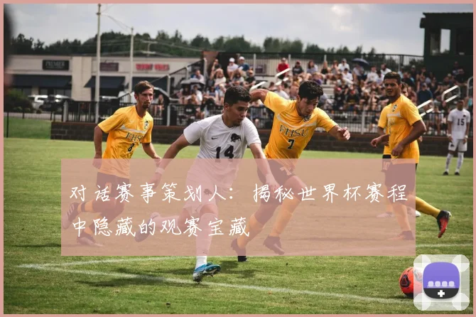 对话赛事策划人:揭秘世界杯赛程中隐藏的观赛宝藏
