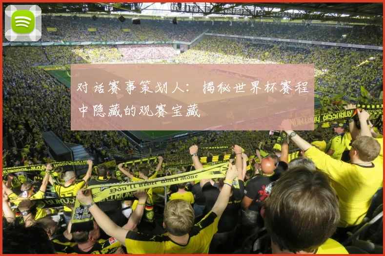 对话赛事策划人:揭秘世界杯赛程中隐藏的观赛宝藏