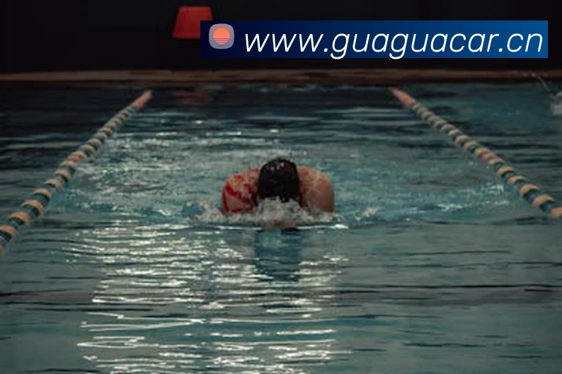 开云kaiyun在线官网平台生态图